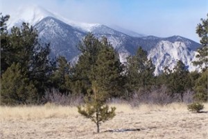VACANT LOT IN NATHROP, CHAFFEE COUNTY, CO