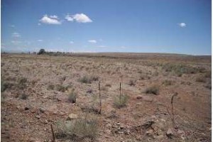 Vacant Land in Conejos County, CO