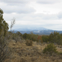 Kaibab Estates Area in Coconino County, Arizona