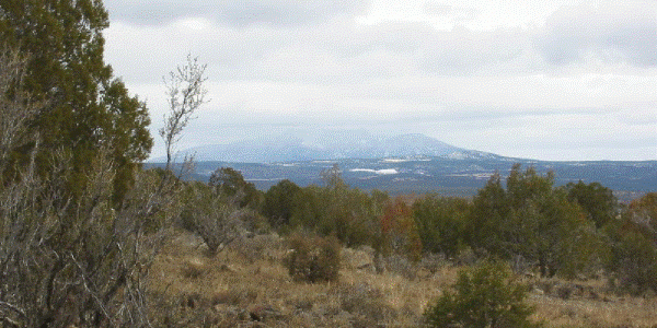 Kaibab Estates Area in Coconino County, AZ