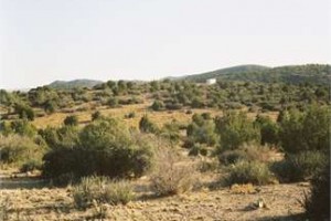 Vacant Land in Mohave County, AZ