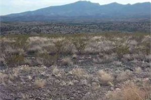 Vacant Land in Sierra County, NM