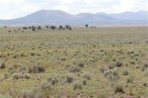Apache County Vacant