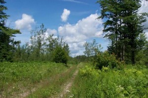 Presque Isle Land
