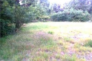 Jefferson County AR