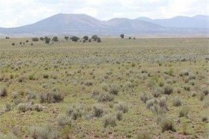 Apache County, AZ