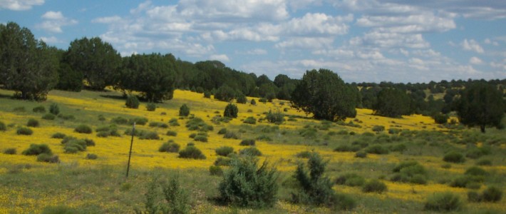 Coconino County, AZ