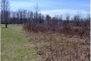 Trumbull County, OH