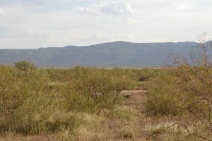 Culberson County, TX