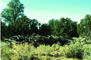 Coconino County, AZ
