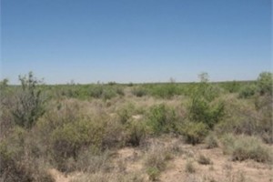 Ward County, Texas