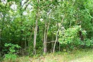 Izard County AR