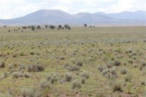 Apache County, AZ