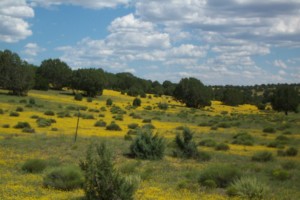 Coconino County, AZ