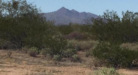 Pima County AZ