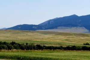 Fergus County, MT