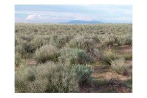 Socorro County NM