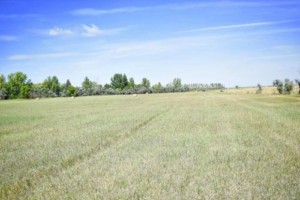 Benson County, ND