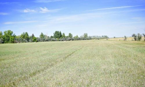 Benson County, ND