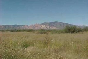 Cochise County Valley Springs