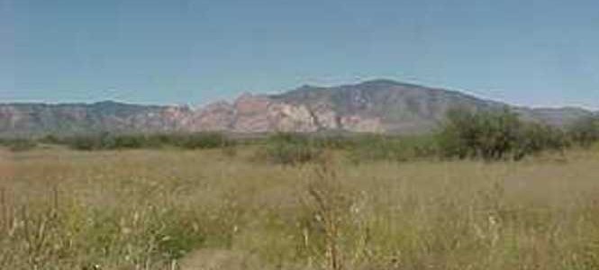 Cochise County Valley Springs