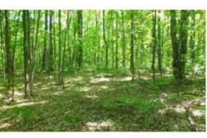 Antrim County, Michigan