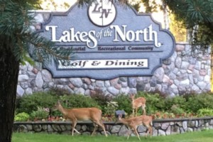 Lakes of the North