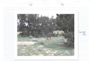 Elk Valley Ranch Lot 59