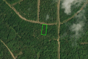Izard County 205 Ash Flat Drive