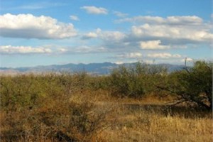 Cochise County AZ