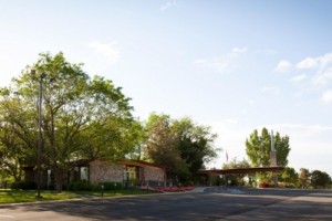 Memorial Estates Redwood