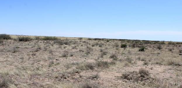 Sunshine Valley Ranchettes, Luna County, NM