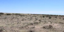Luna County, NM