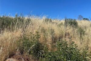 Clearlake, California