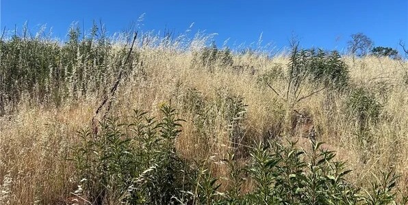 Clearlake, California