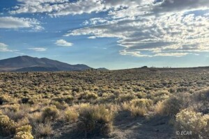 Twin River Ranchos Ryndon, NV